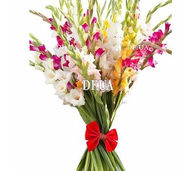 Bouquet of gladiolus happy birthday