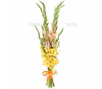 Bouquet of 15 yellow and coral gladioli