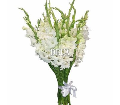 Bouquet of 25 white gladiolus
