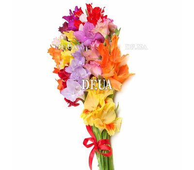 Bouquet of 9 bright gladioli of different colors