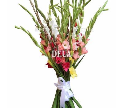 Bouquet of gladiolus