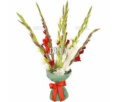 Bouquet of red and white gladiolus