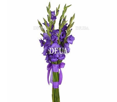 Bouquet of blue gladiolus
