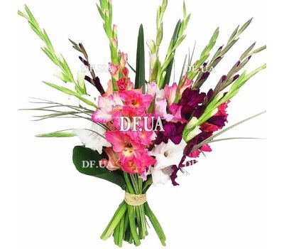 A wonderful bouquet of colorful gladioli