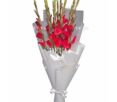 Red gladioli with decoration