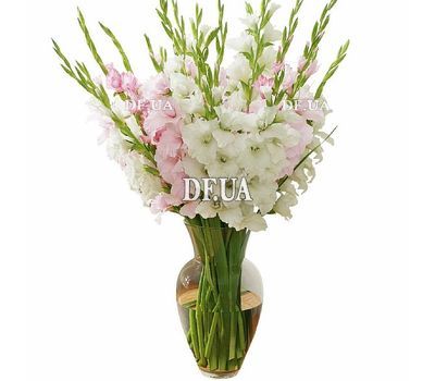Delicate bouquet of white and pink gladioli