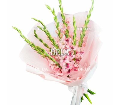 Delicate bouquet of pink gladiolus