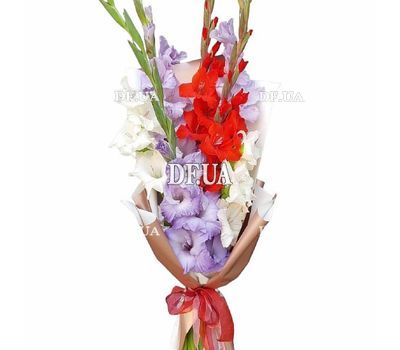 Five multi-colored gladioli