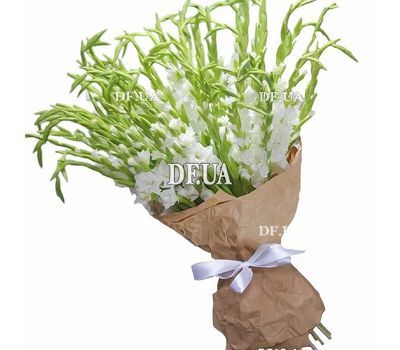 Gorgeous bouquet of white gladiolus