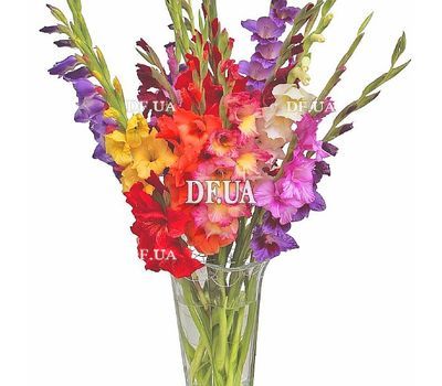 Bright bouquet with gladioli of different colors