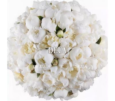101 white peonies