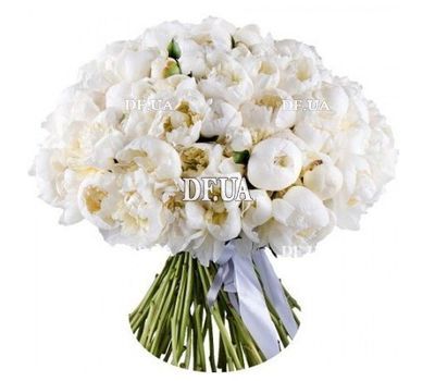 101 white peonies