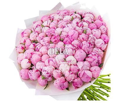 101 imported peonies