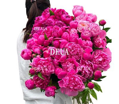 101 pink peony