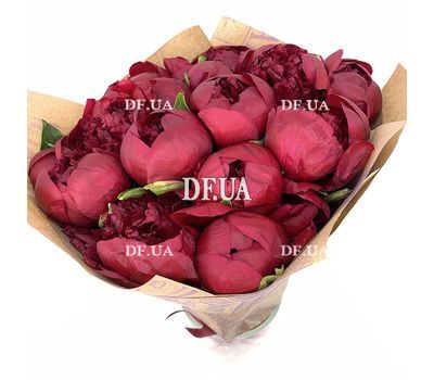 11 burgundy peonies