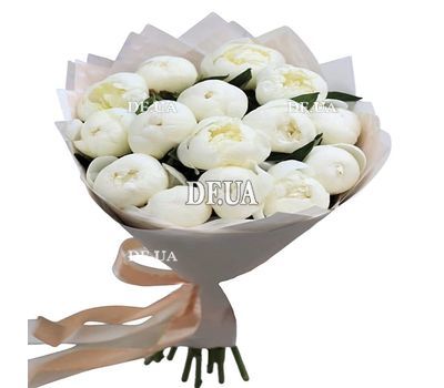 11 peonies
