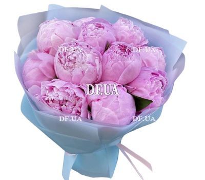 11 pink peonies Sarah Bernhard