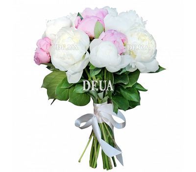 15 white and pink peonies