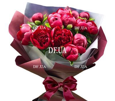 15 burgundy peonies