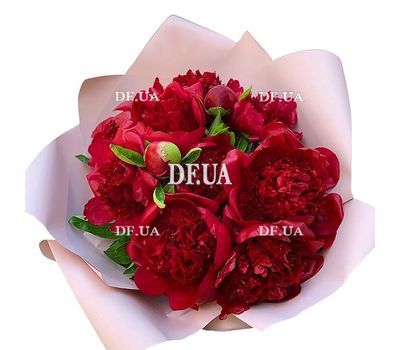 15 peonies