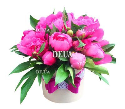 15 pink peonies in a box