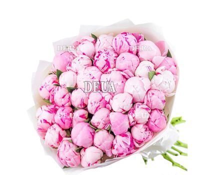 25 импортных пионов