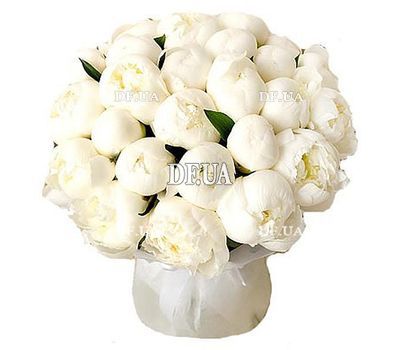 25 пионов