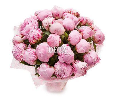 29 peonies