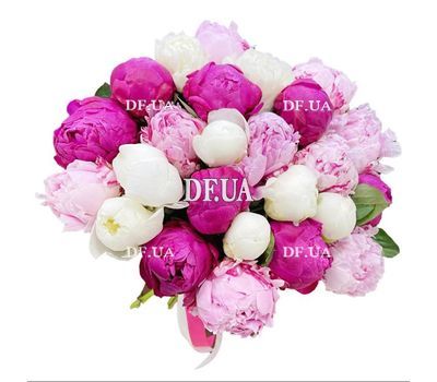29 colorful peonies
