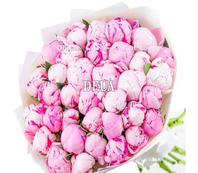 35 imported peonies