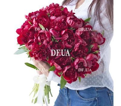 35 peonies 1