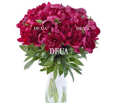 35 peonies
