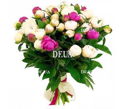35 pink and white peonies