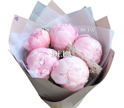 5 pink imported peonies