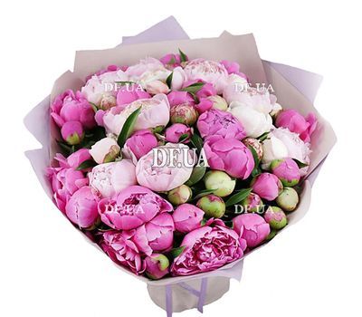 51 white and pink peonies