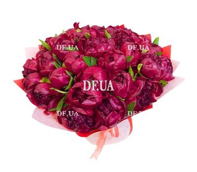 51 burgundy peonies