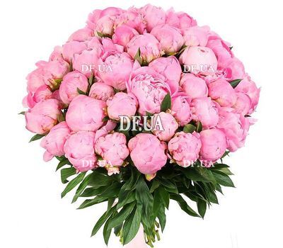 51 imported peonies