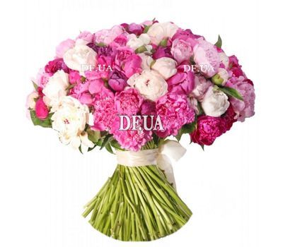51 multicolored peonies