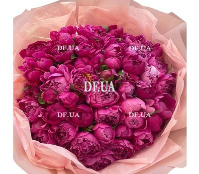 51 hot pink peony
