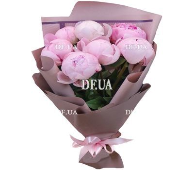 7 pink imported peonies