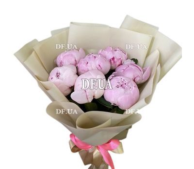 7 pink imported peonies
