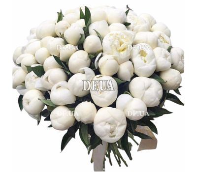 75 peonies