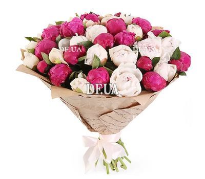 75 colorful peonies