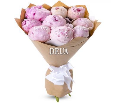 9 pink imported peonies