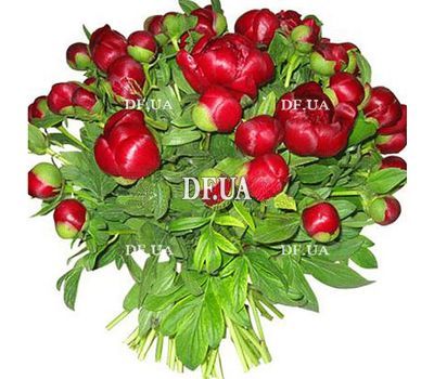 Bouquet 31 peonies