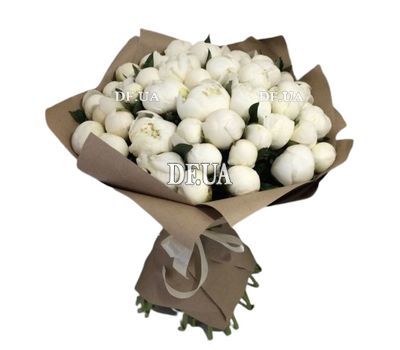 51 peonies