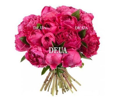 Bouquet of 11 peonies
