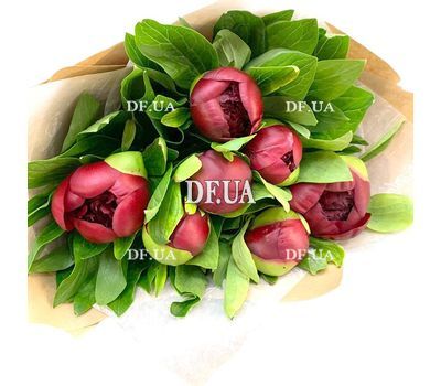 Peonies in craft 1