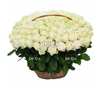 101 white roses in a basket