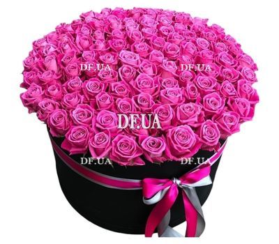 101 pink roses in a box